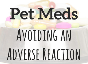 Pet Meds: Avoiding an Adverse Reaction