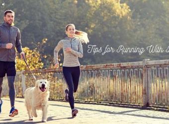 Tips For Running With Your Dog